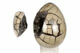 7.5" Septarian "Dragon Egg" Geode - Removable Section - #199998-1